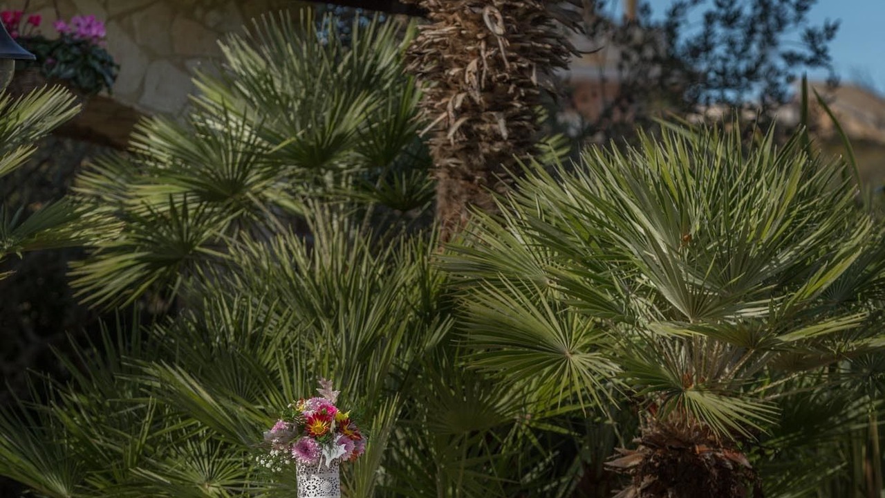 Photo of Outdoor in Nissoria