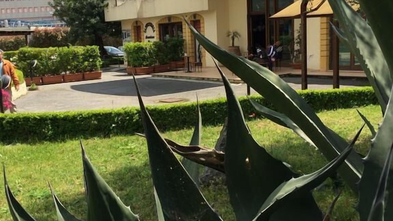 Photo of Outdoor in Sarno
