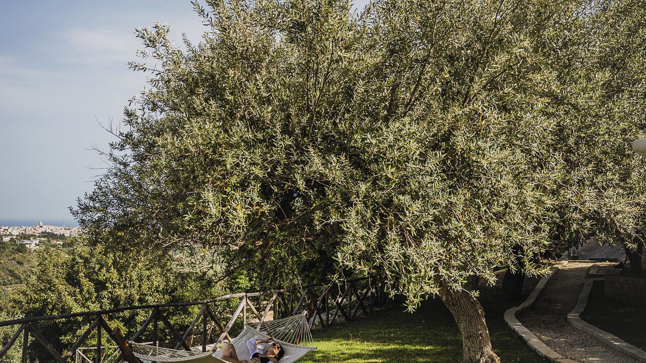 Photo of Outdoor in Noto