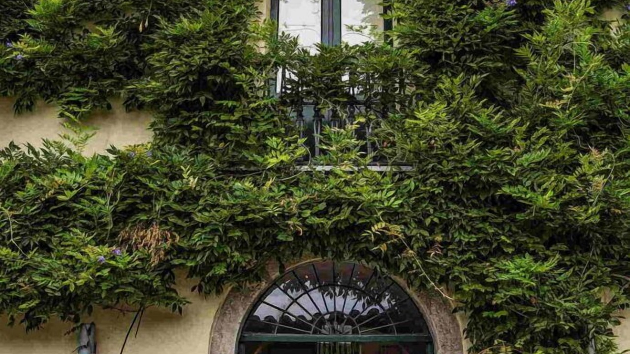 Photo of Outdoor in Gerace