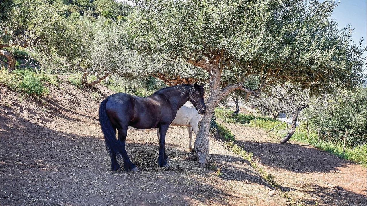 Photo of Outdoor in Gioiosa Marea