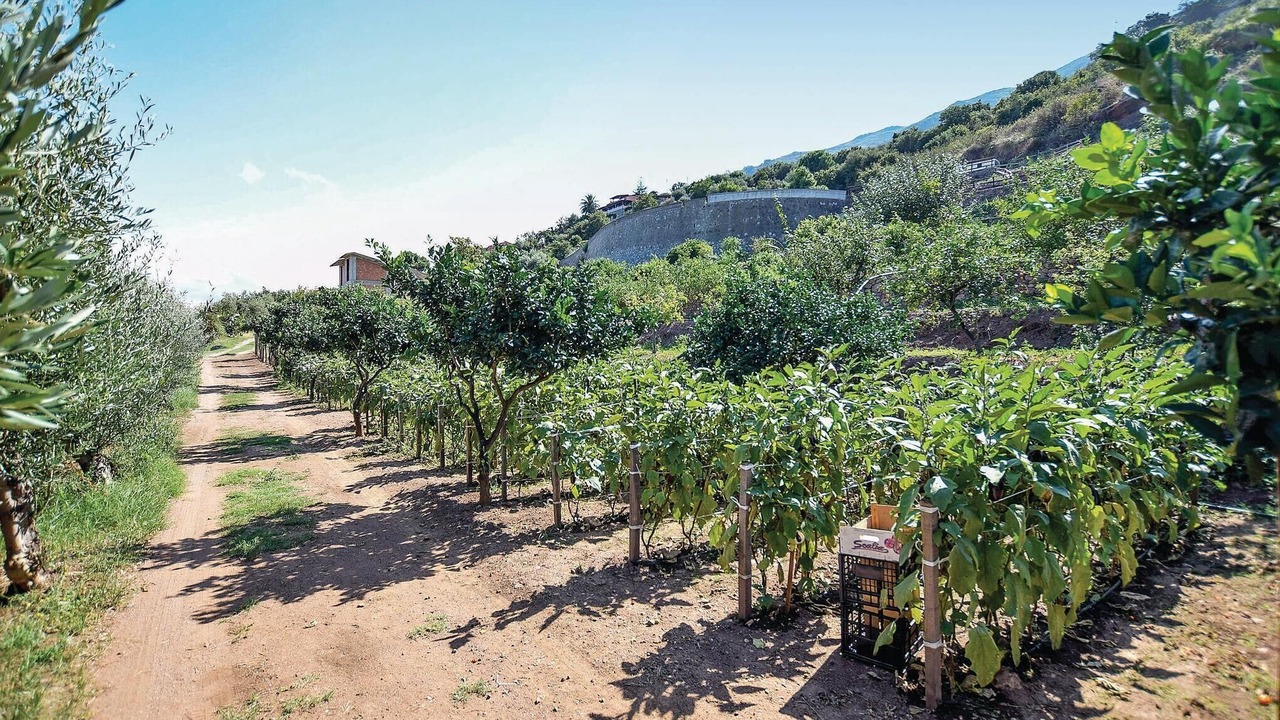 Photo of Outdoor in Gioiosa Marea