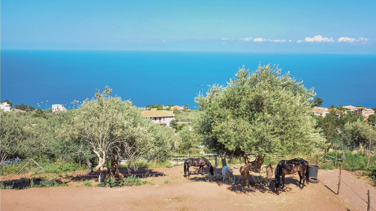 Photo of Others in Gioiosa Marea