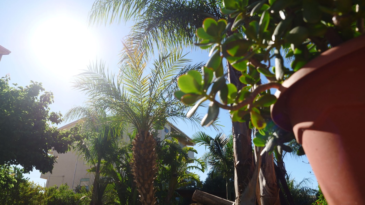 Photo of Outdoor in Villaggio Mose