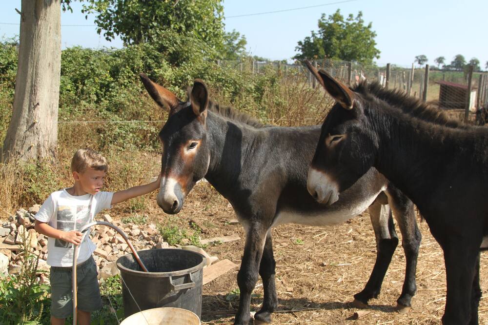 Photo of Others in Filandari
