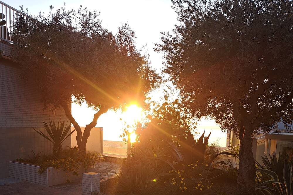 Photo of Outdoor in Forio