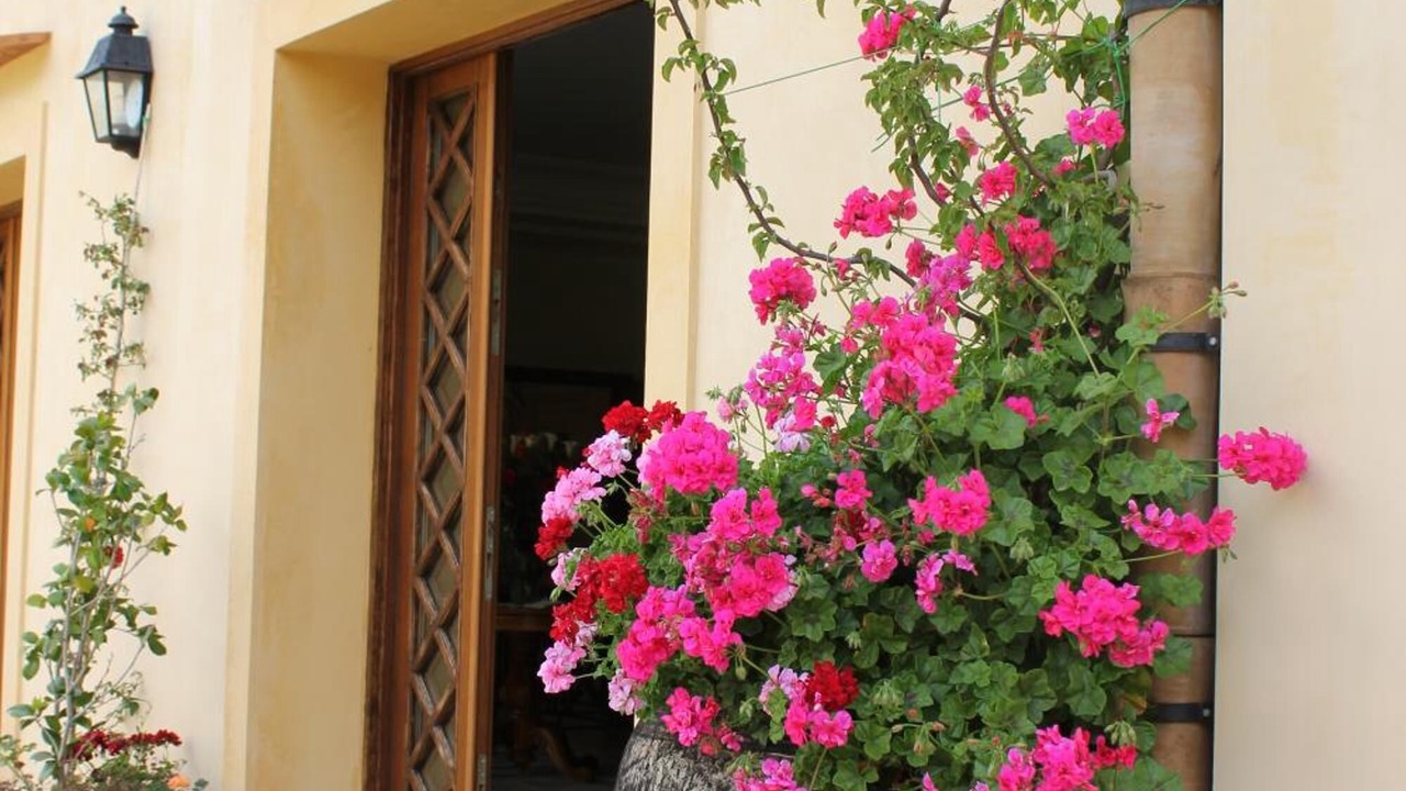 Photo of Outdoor in Scopello