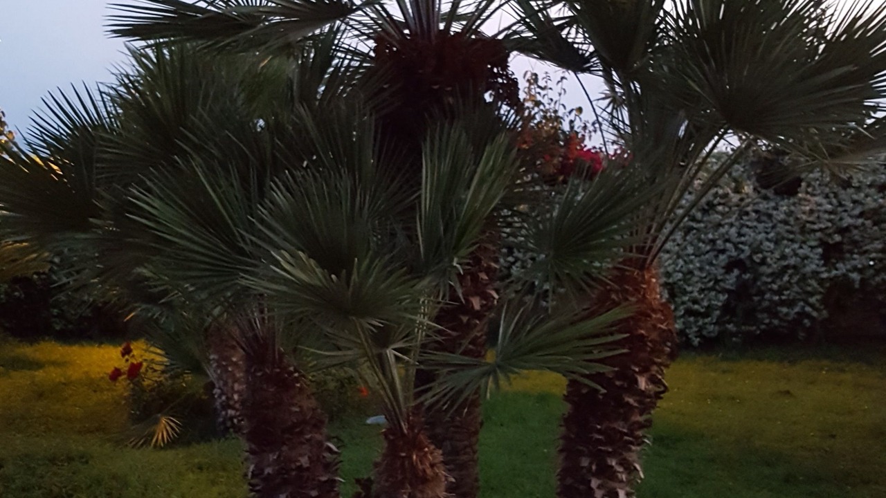 Photo of Outdoor in Scalea