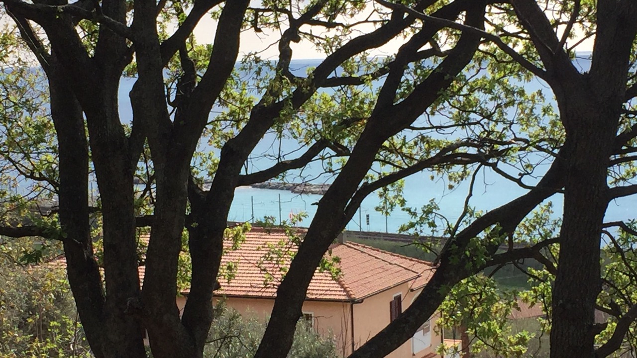 Photo of Outdoor in Paola