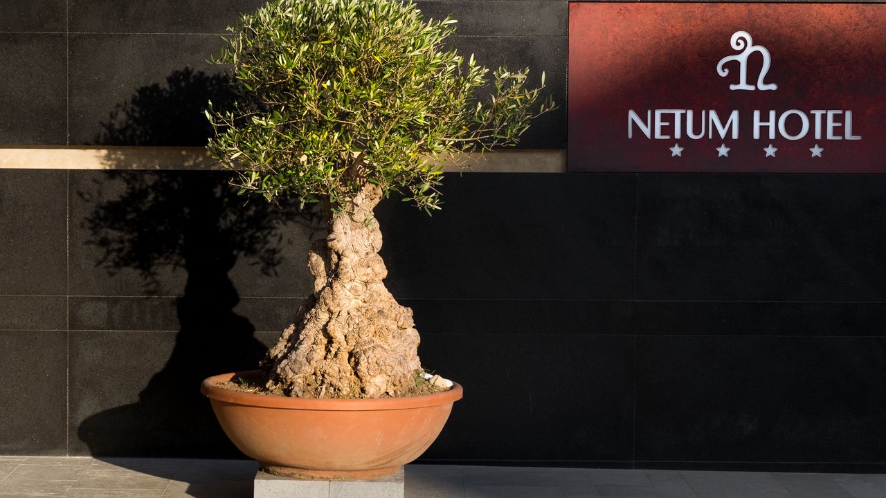 Photo of Outdoor in Noto Historic Centre
