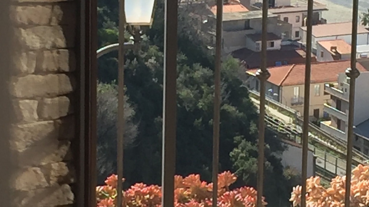 Photo of Outdoor in Scilla