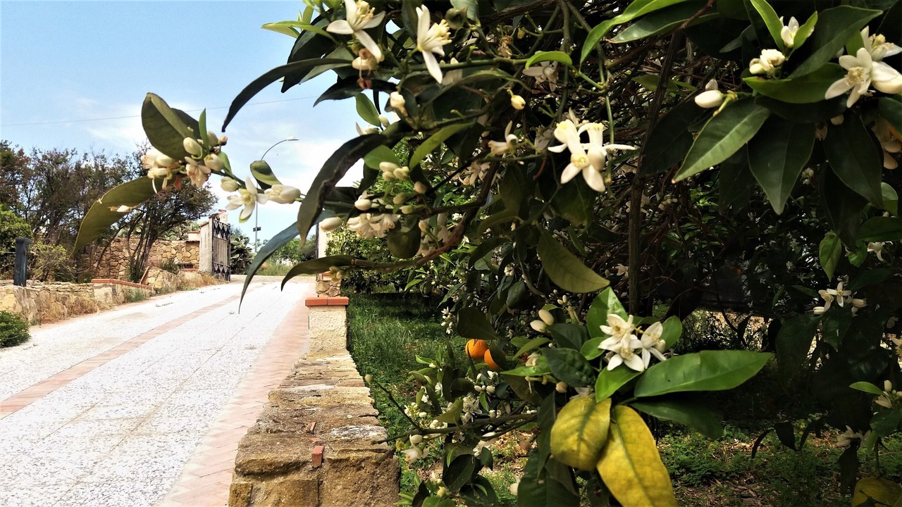 Photo of Outdoor in Borgo Bonsignore
