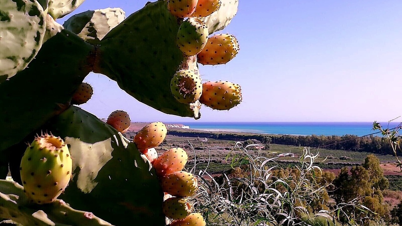 Photo of Outdoor in Borgo Bonsignore