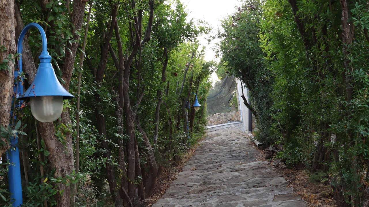 Photo of Outdoor in Borgo Bonsignore