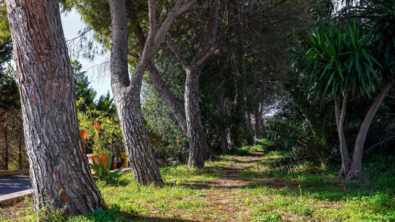 Photo of Outdoor in Pozzallo