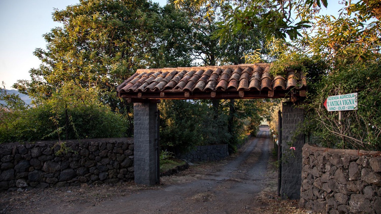 Photo of Outdoor in Montelaguardia