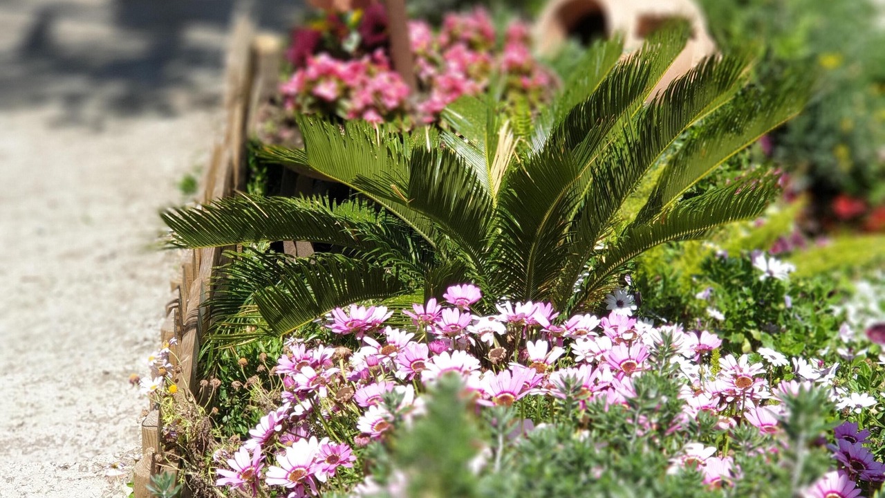 Photo of Outdoor in Monte Chiaro