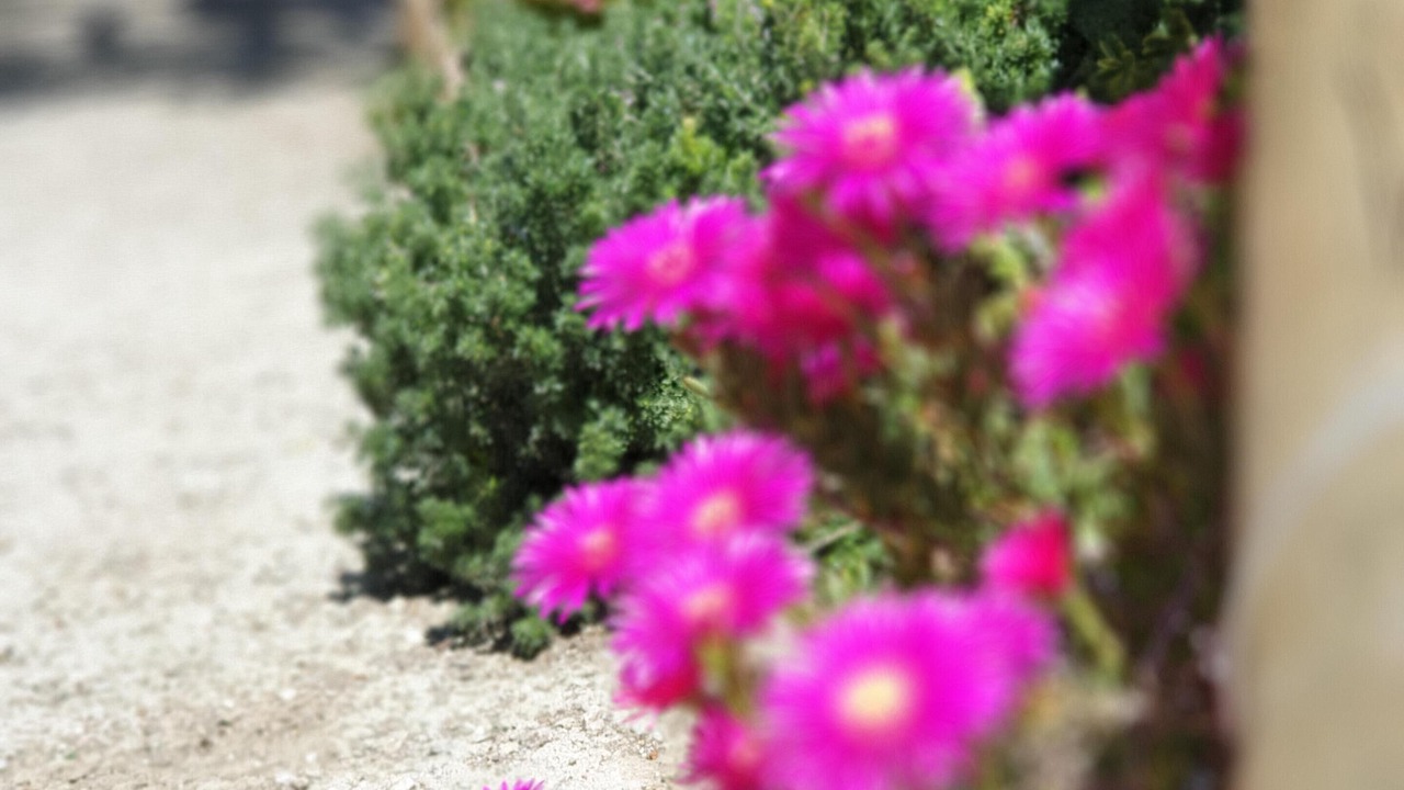 Photo of Outdoor in Monte Chiaro