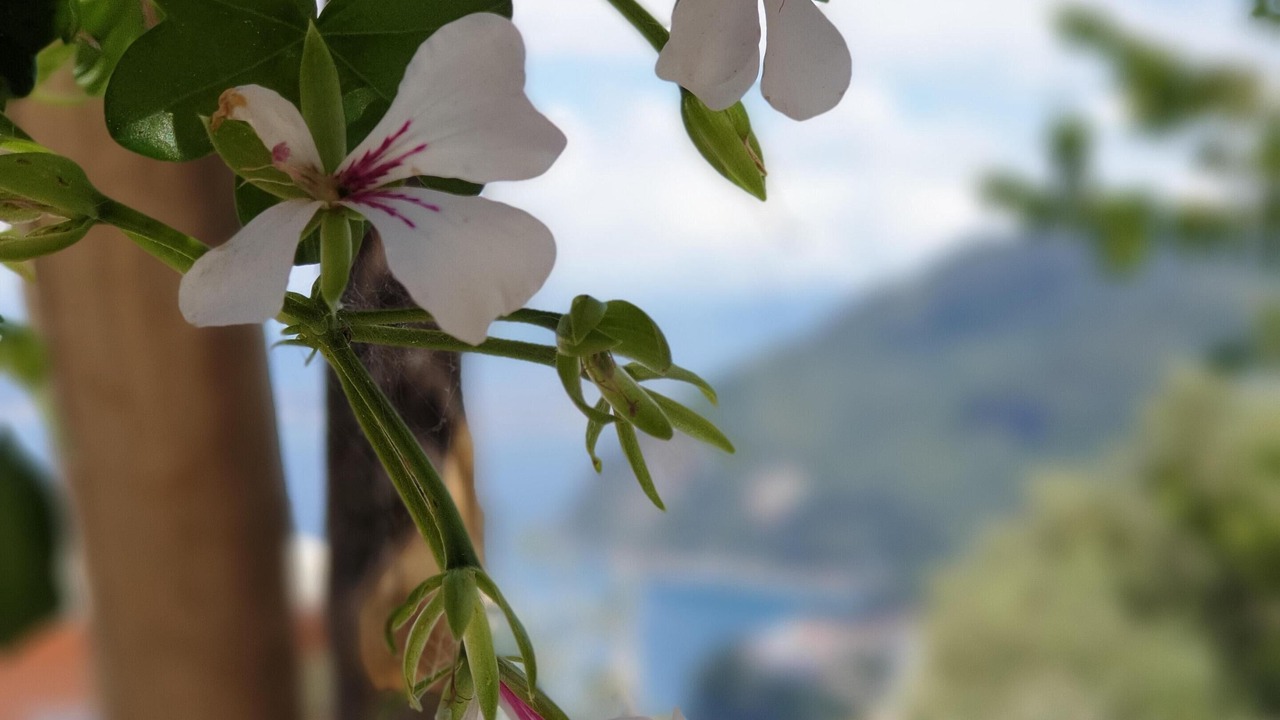 Photo of Outdoor in Monte Chiaro