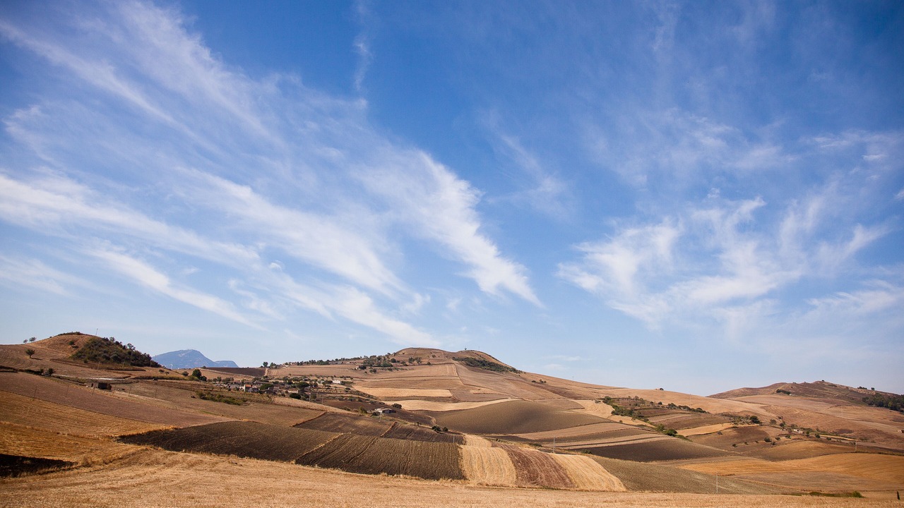 Photo of Outdoor in Alia