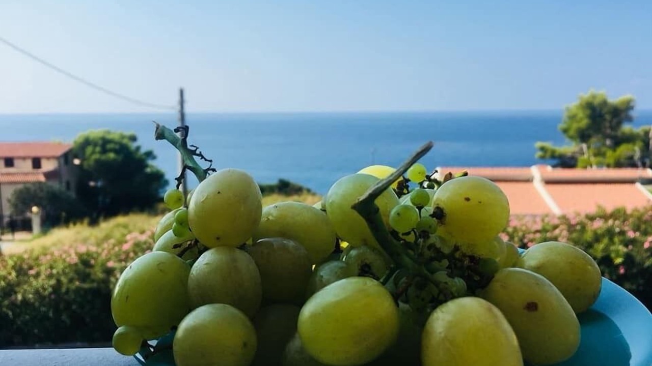 Photo of Others in Cittadella del Capo