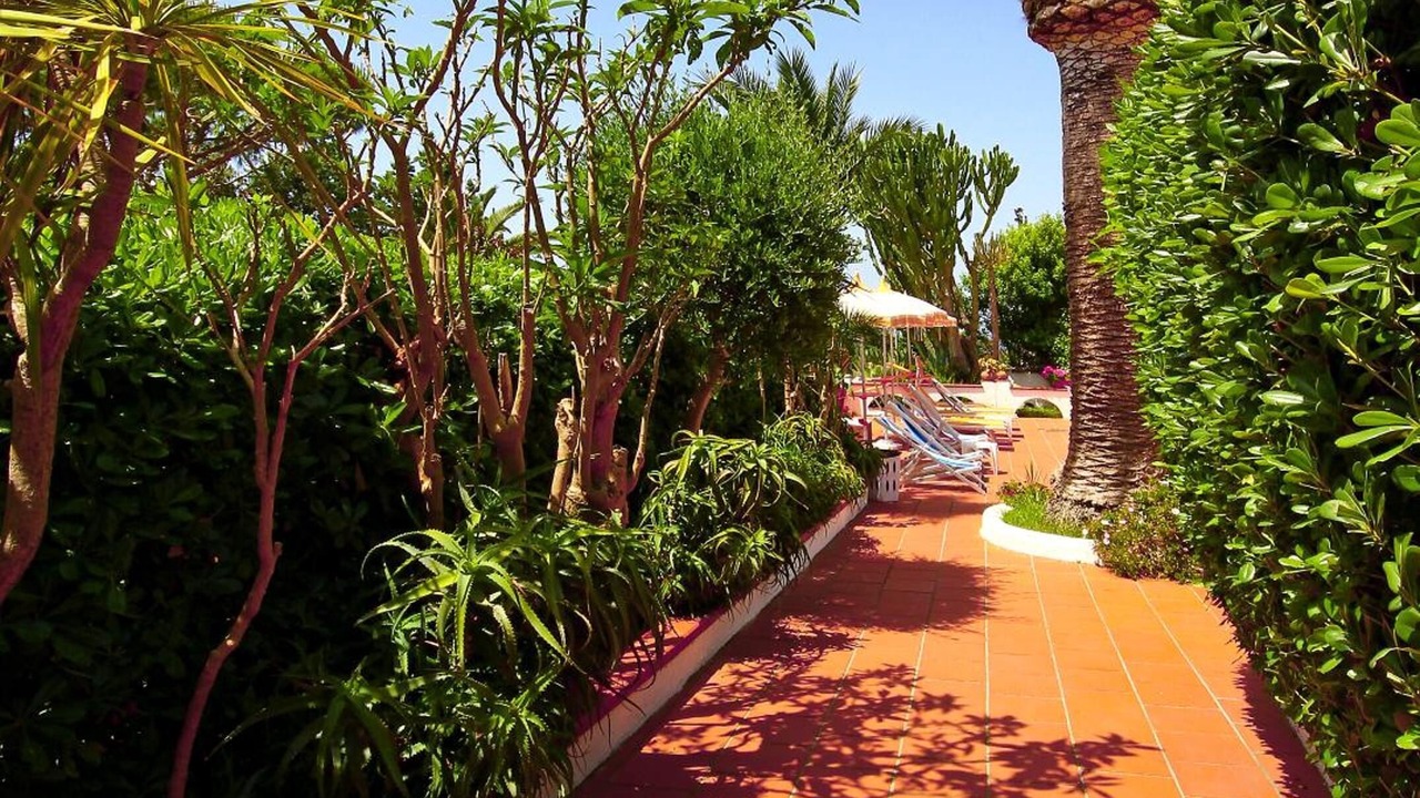 Photo of Outdoor in Panza