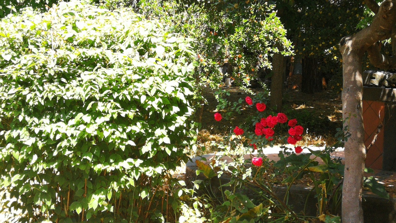 Photo of Outdoor in Nicolosi