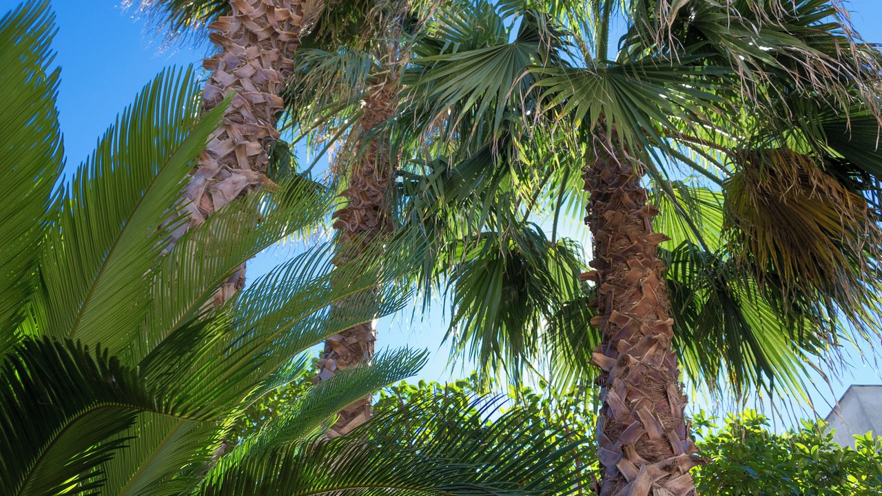 Photo of Outdoor in Centro Storico