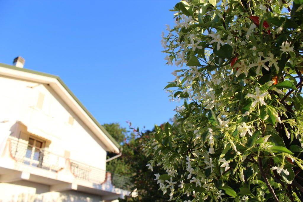 Photo of Outdoor in Carolei