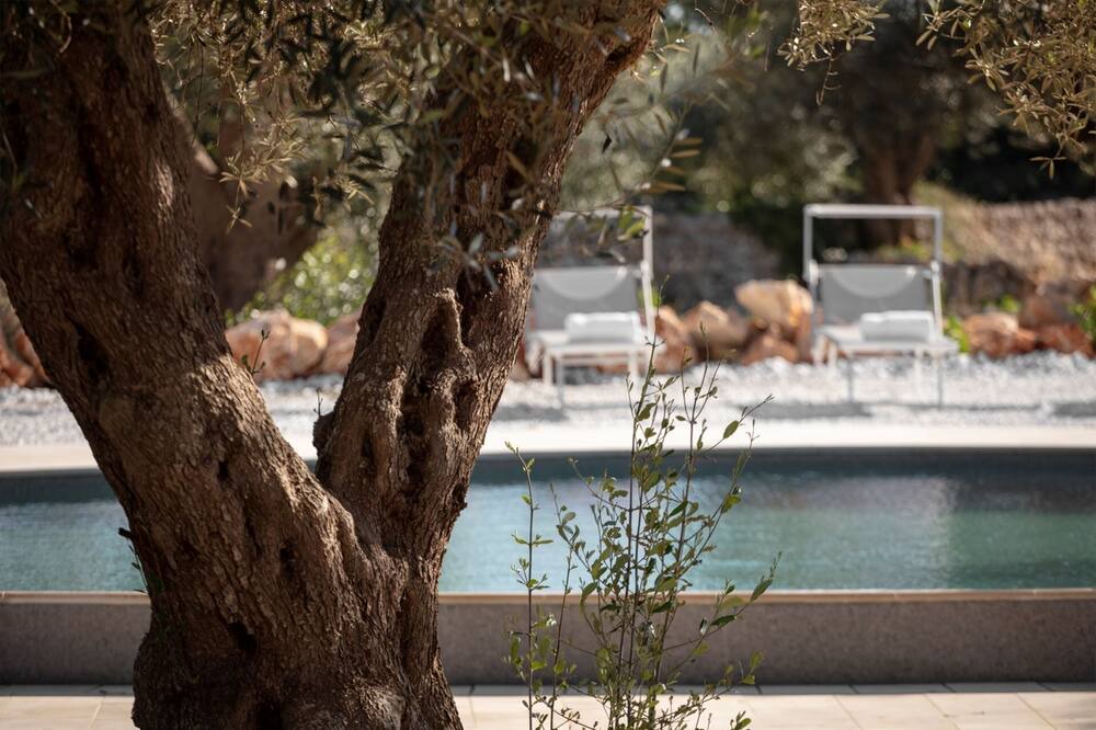 Photo of Outdoor in Torre Vado
