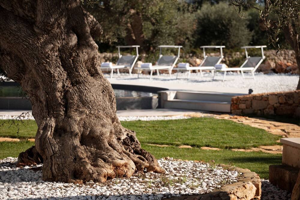 Photo of Outdoor in Torre Vado