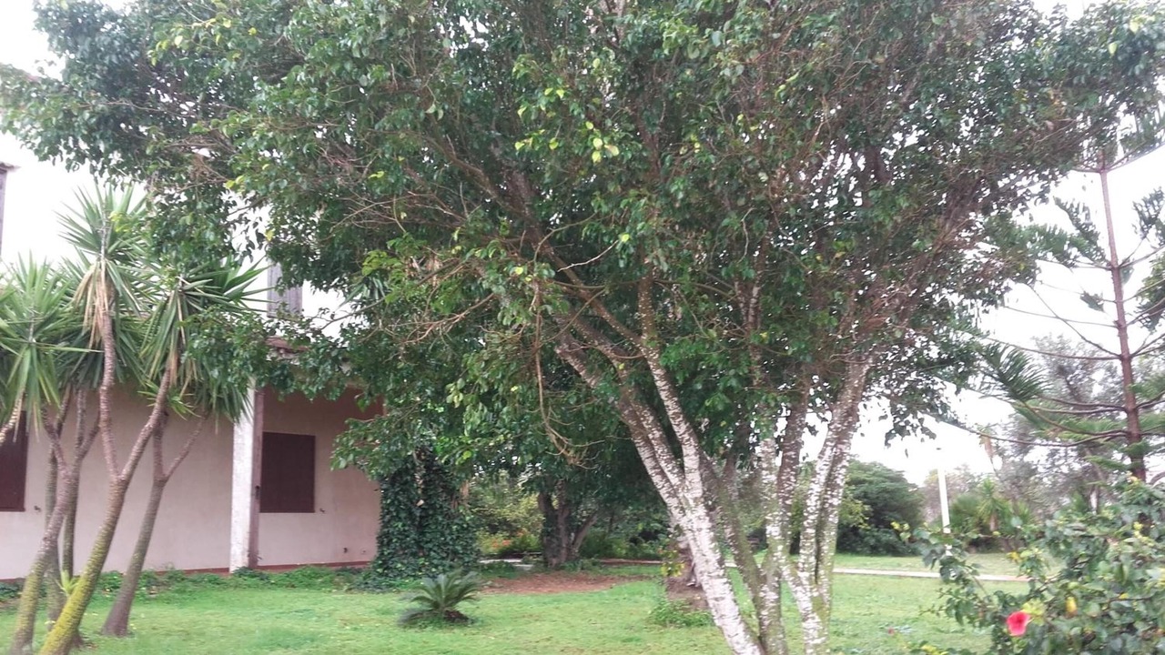 Photo of Outdoor in Vittoria