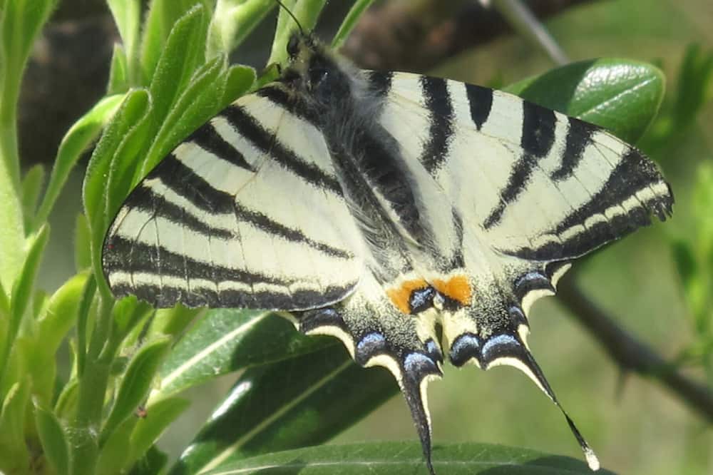 Photo of Outdoor in Madonie National Park