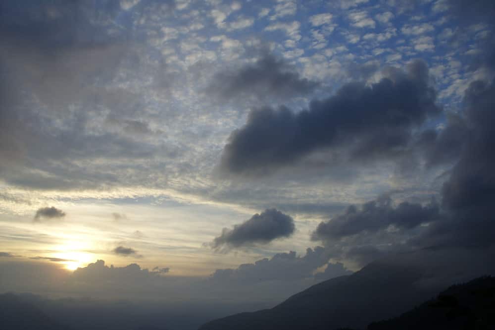 Photo of Others in Madonie National Park