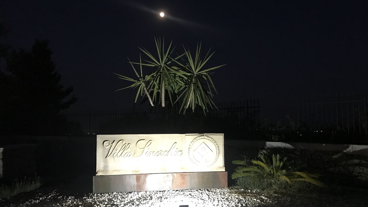 Photo of Outdoor in Belvedere