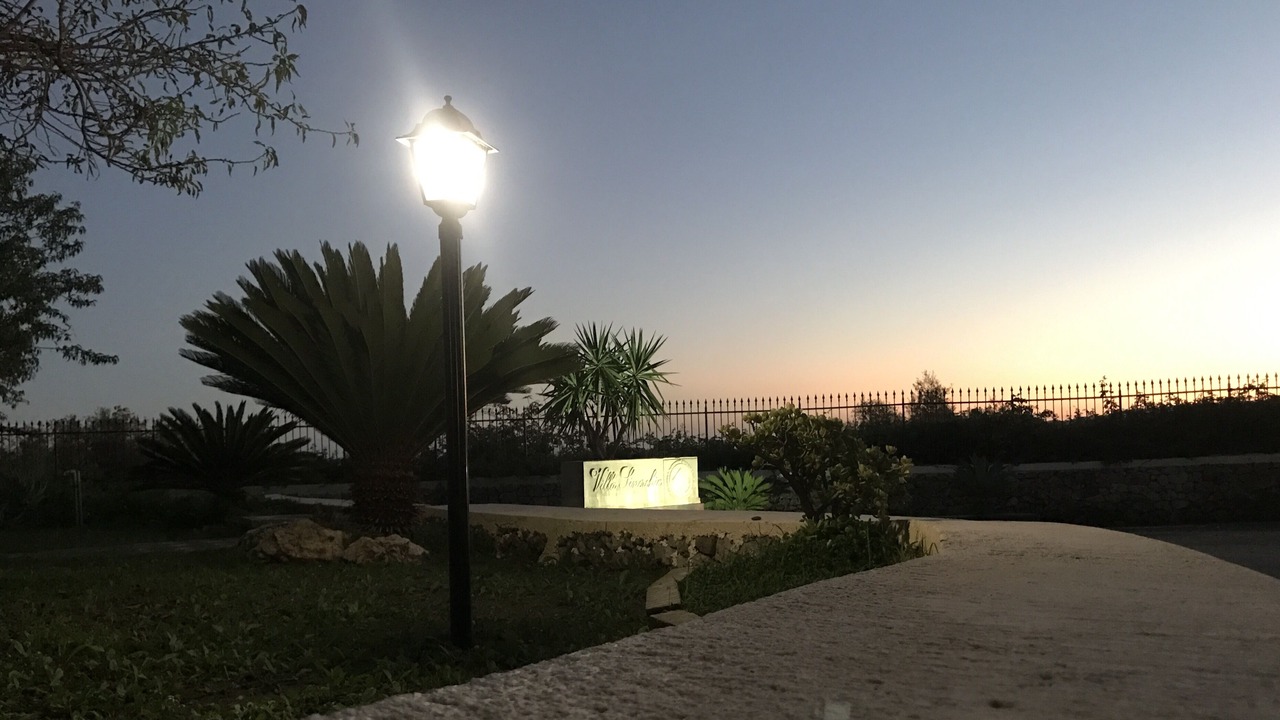 Photo of Outdoor in Belvedere