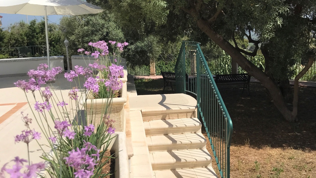 Photo of Outdoor in Belvedere