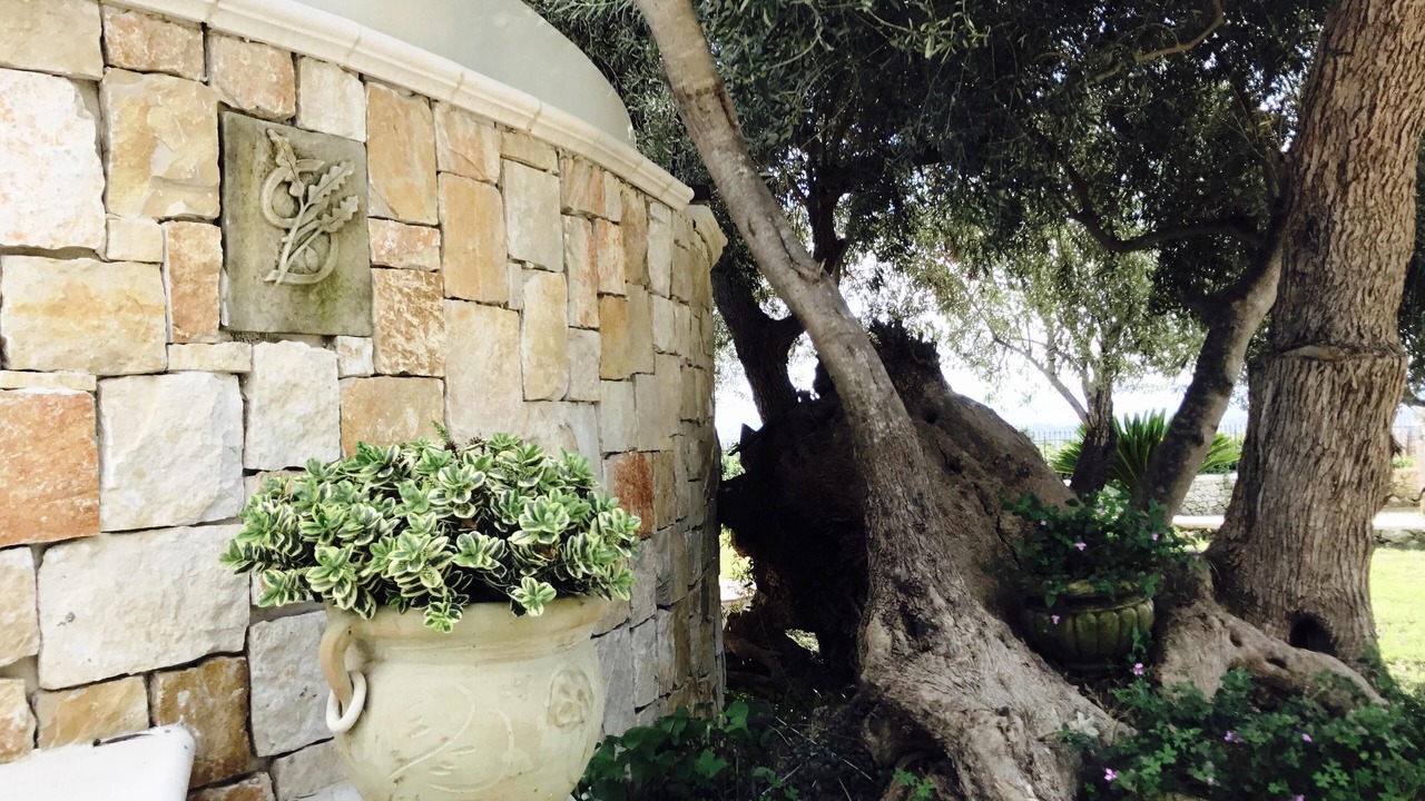 Photo of Outdoor in Belvedere