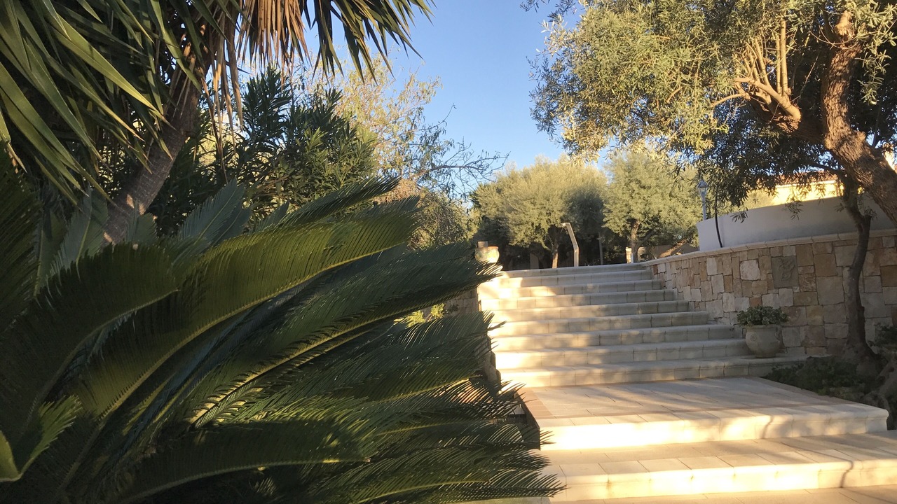 Photo of Outdoor in Belvedere