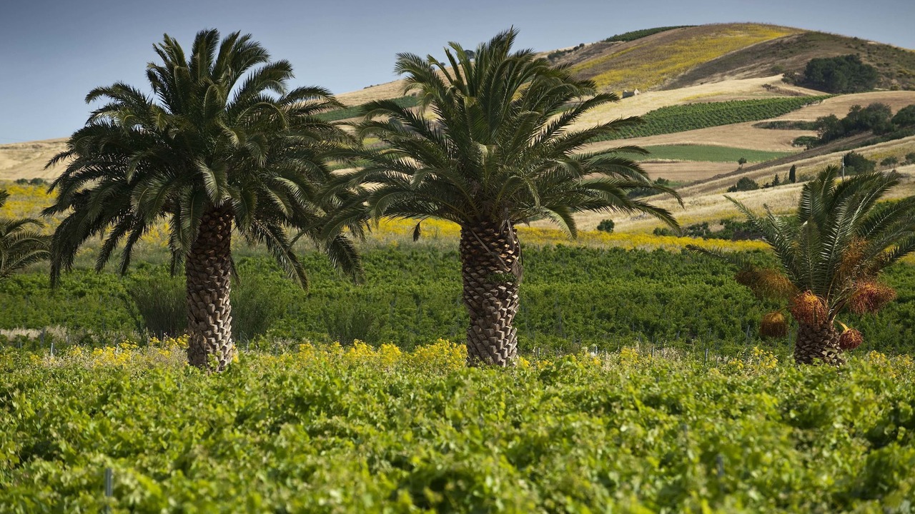 Photo of Outdoor in Buseto Palizzolo