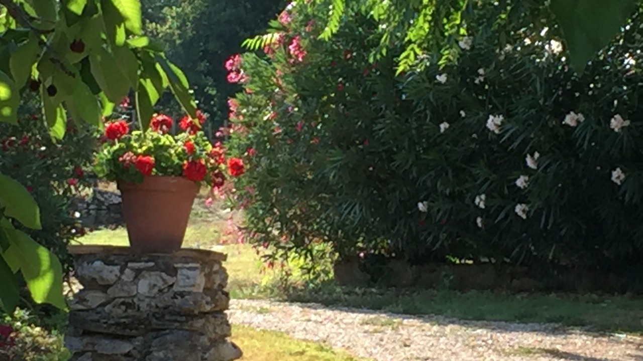 Photo of Outdoor in Amelia