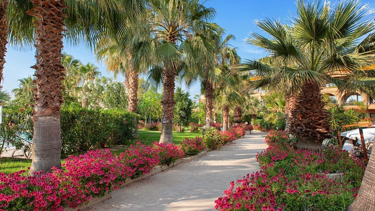 Photo of Outdoor in Campofelice di Roccella