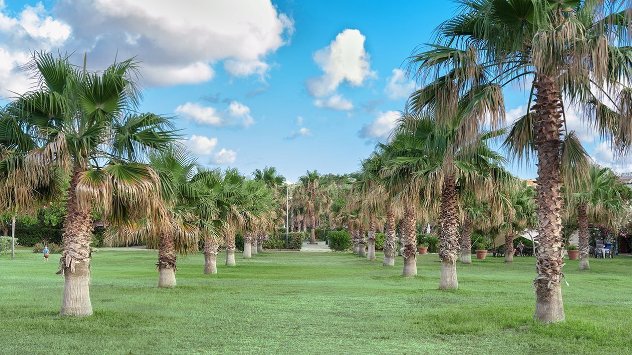 Photo of Outdoor in Campofelice di Roccella
