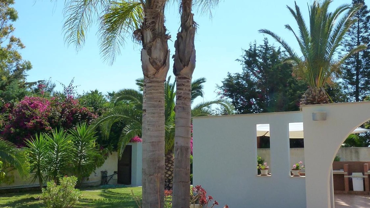 Photo of Outdoor in Arenella