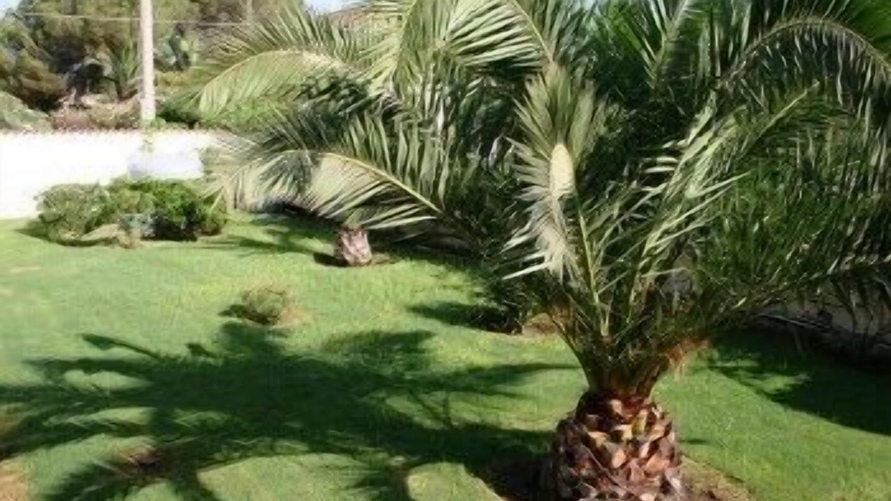 Photo of Outdoor in Arenella