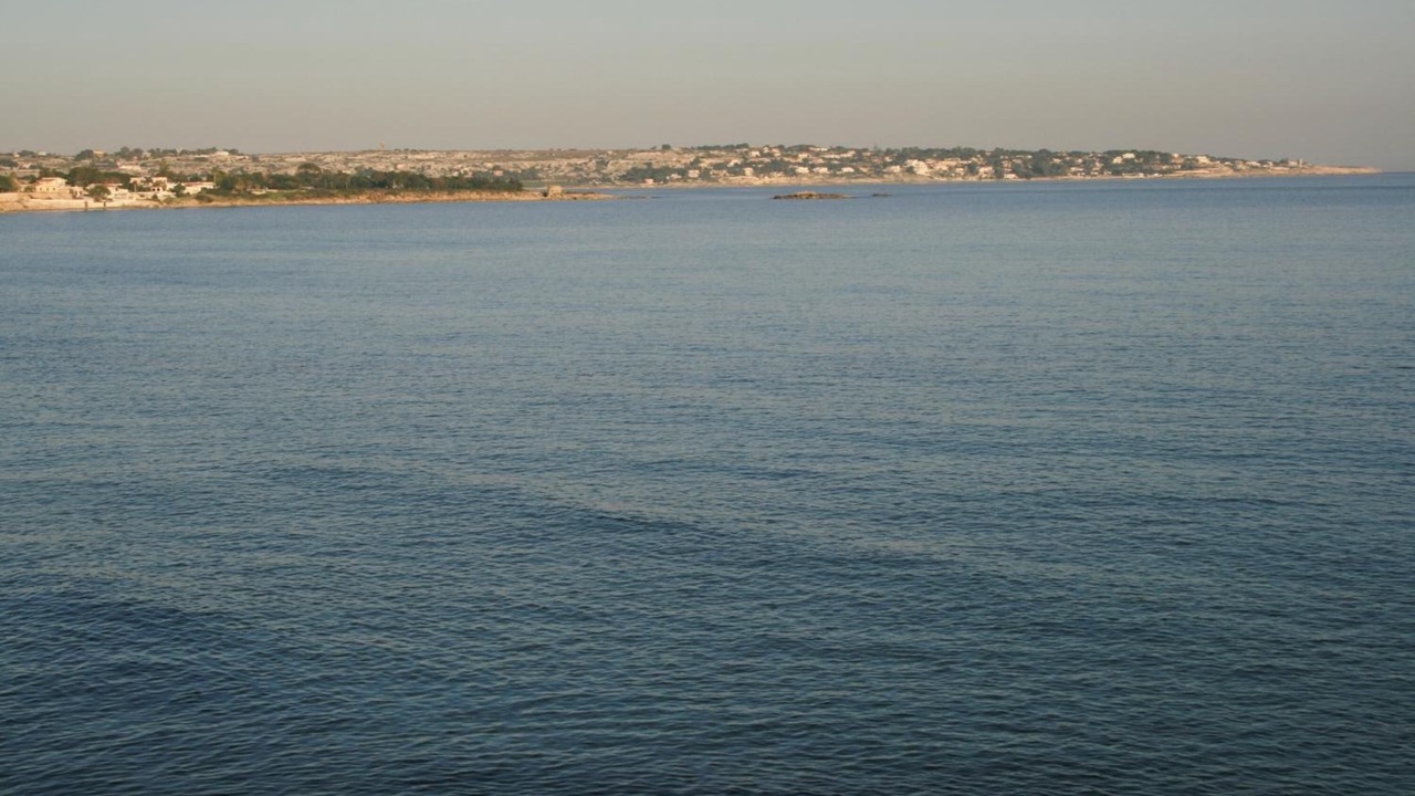 Photo of Others in Arenella