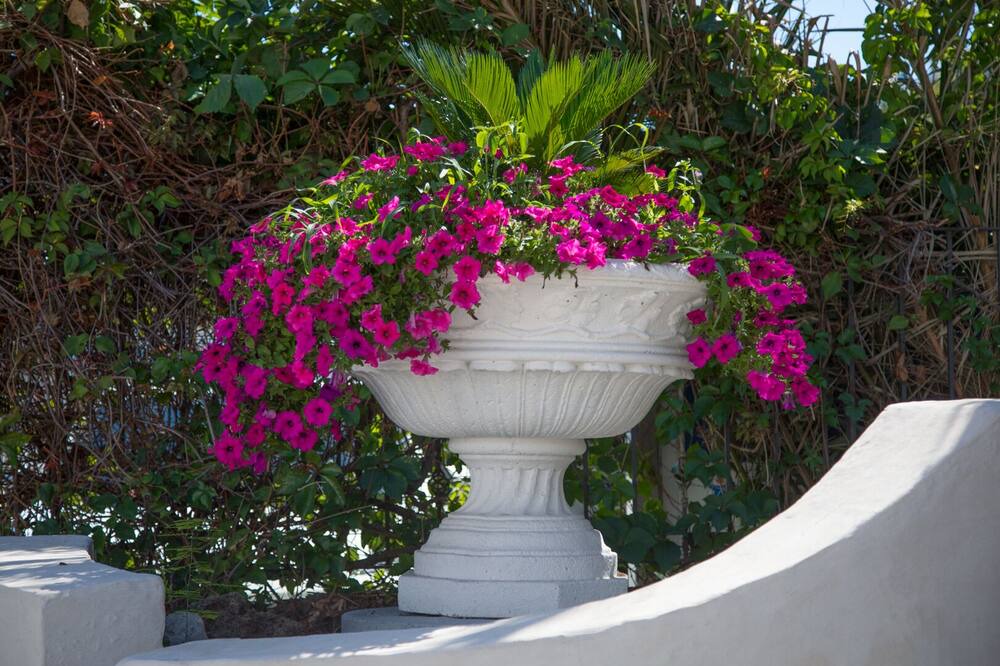 Photo of Outdoor in Chianchitta-Pallio