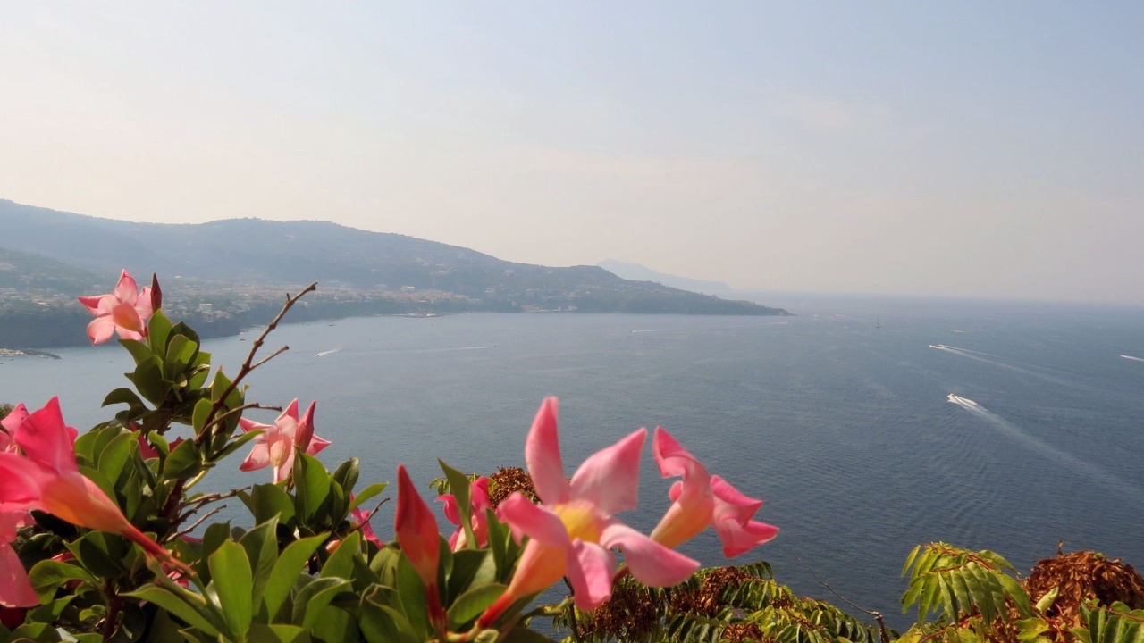 Photo of Outdoor in Monte Chiaro