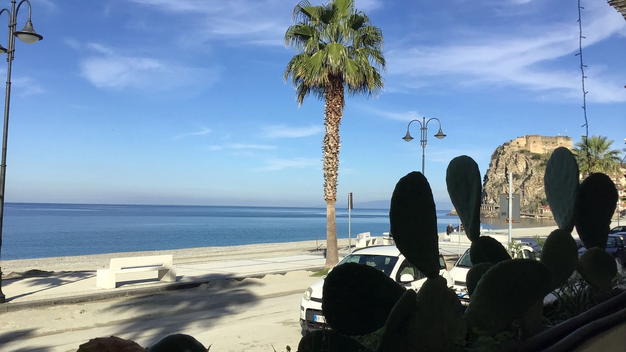 Photo of Others in Scilla