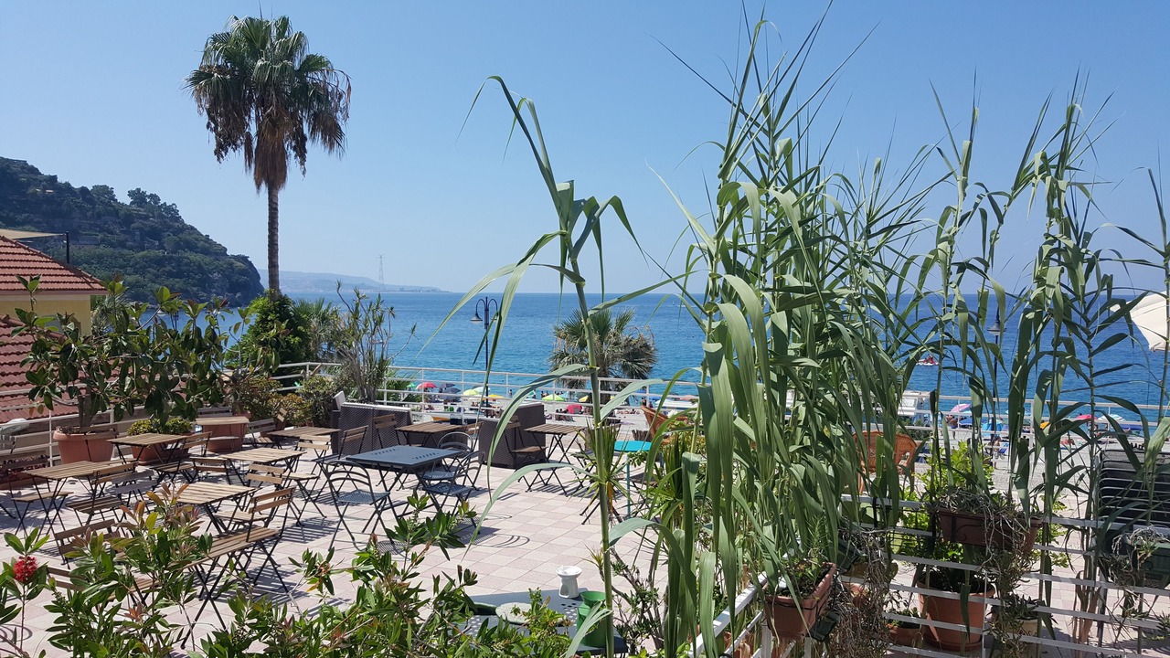 Photo of Others in Scilla